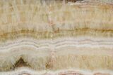 Polished Banded Travertine Slab - New Mexico #324325-1